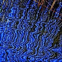 Buy canvas prints of Reflections of Reeds by Martyn Arnold