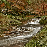 Buy canvas prints of WINTER WOODLAND STREAM by Martyn Arnold