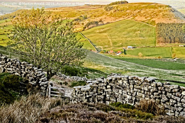 Danby Dale Landscape Picture Board by Martyn Arnold