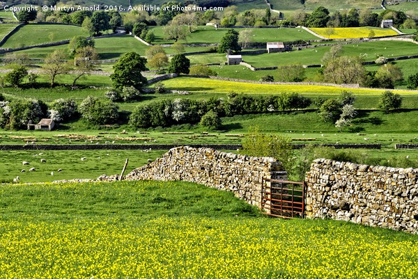 Yorkshire Dales Countryside Picture Board by Martyn Arnold