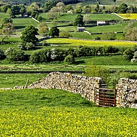 Buy canvas prints of Yorkshire Dales Countryside by Martyn Arnold