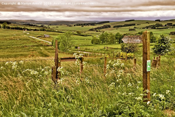 Northumberland Landscape Picture Board by Martyn Arnold