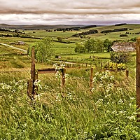Buy canvas prints of Northumberland Landscape by Martyn Arnold