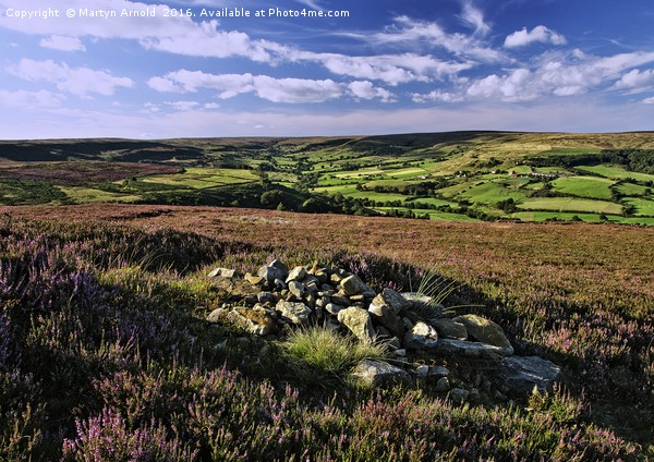 North York Moors - Ryedale Picture Board by Martyn Arnold