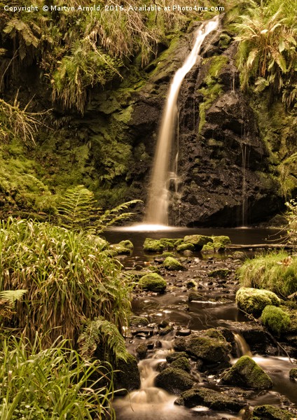 Forest Glade Waterfall Picture Board by Martyn Arnold