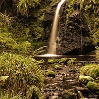 Buy canvas prints of Forest Glade Waterfall by Martyn Arnold
