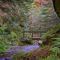 Buy canvas prints of Bridge over the Woodland Stream by Martyn Arnold