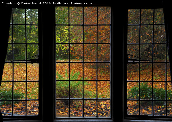 Autumn through the Window Picture Board by Martyn Arnold