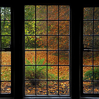 Buy canvas prints of Autumn through the Window by Martyn Arnold