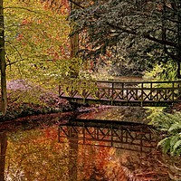 Buy canvas prints of Autumn Reflections in the Stream by Martyn Arnold