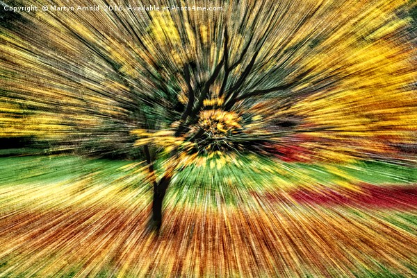 Autumn Colours Abstract Picture Board by Martyn Arnold