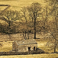 Buy canvas prints of Yorkshire Dales Stone Barn in Wharfdale by Martyn Arnold