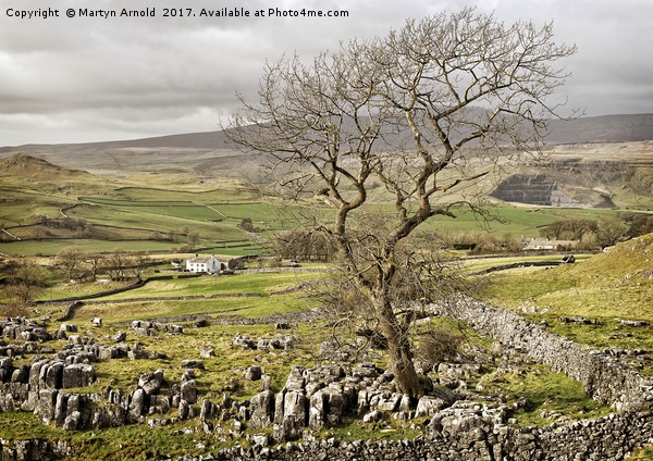 Yorkshire Dales Landscape Picture Board by Martyn Arnold
