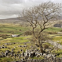 Buy canvas prints of Yorkshire Dales Landscape by Martyn Arnold