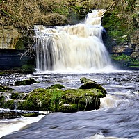 Buy canvas prints of West Burton Waterfall After the Rain by Martyn Arnold