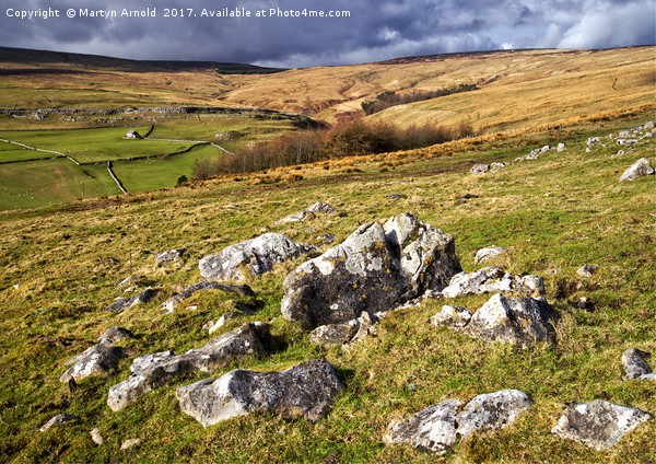 Yorkshire Dales  Picture Board by Martyn Arnold