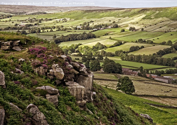 Yorkshire Moors Landscape  Picture Board by Martyn Arnold