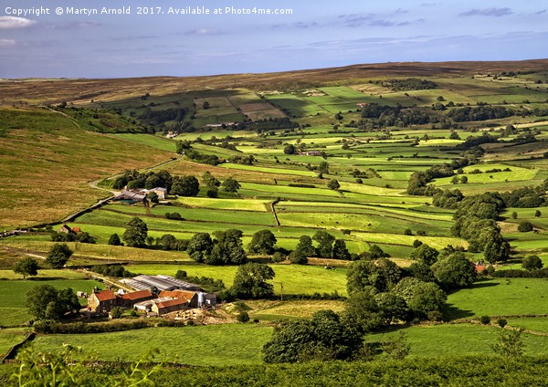 North York Moors Landscape Near Rosedale Abbey Picture Board by Martyn Arnold