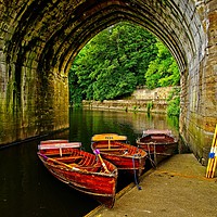 Buy canvas prints of Rowing Boats on the RIver in Durham City by Martyn Arnold