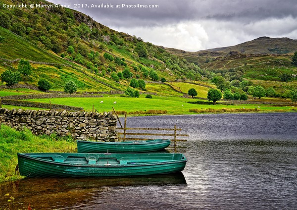 Solitude in the Lake District  Picture Board by Martyn Arnold