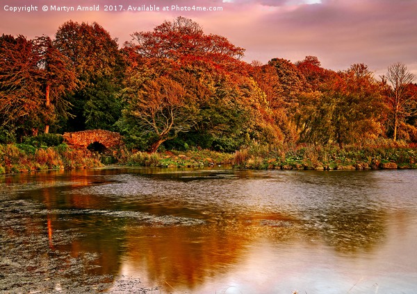 Autumn Sunset at Hardwick Park Picture Board by Martyn Arnold