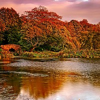 Buy canvas prints of Autumn Sunset at Hardwick Park by Martyn Arnold