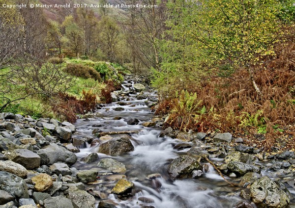 Lake District Autumn Stream Picture Board by Martyn Arnold