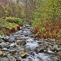 Buy canvas prints of Lake District Autumn Stream by Martyn Arnold