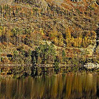 Buy canvas prints of Autumn Tree Reflections by Martyn Arnold