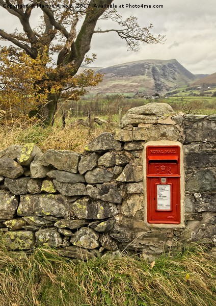 Country Lane Postbox Picture Board by Martyn Arnold