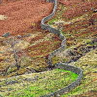 Buy canvas prints of Lake District Fells Stone Wall by Martyn Arnold