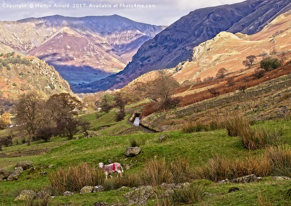 Lake District Fells Picture Board by Martyn Arnold