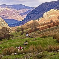 Buy canvas prints of Lake District Fells by Martyn Arnold