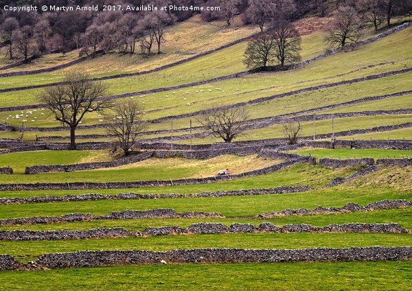 Yorkshire Dales Stone Walls Picture Board by Martyn Arnold