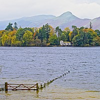 Buy canvas prints of Derwent Isle on Dewent Water, Lake District by Martyn Arnold