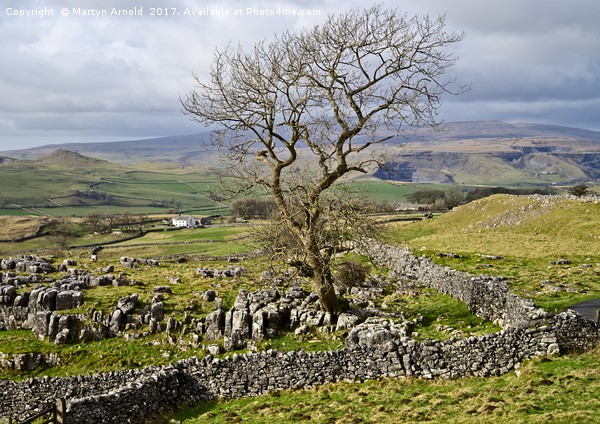 Yorkshire Dales Landscape - Malhamdale Picture Board by Martyn Arnold