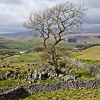 Buy canvas prints of Yorkshire Dales Landscape - Malhamdale by Martyn Arnold