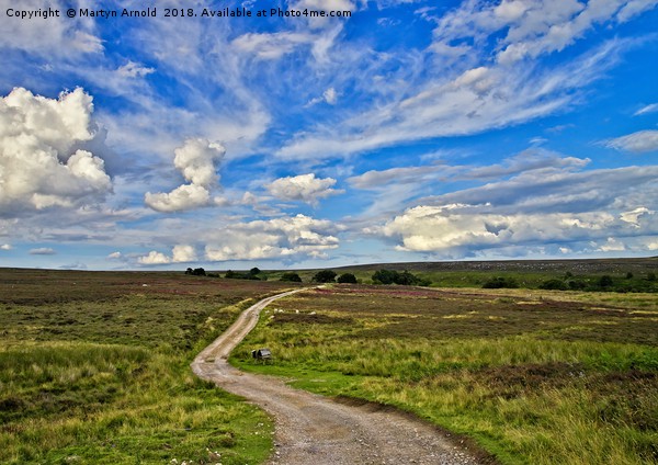 Road Across the Moors Picture Board by Martyn Arnold