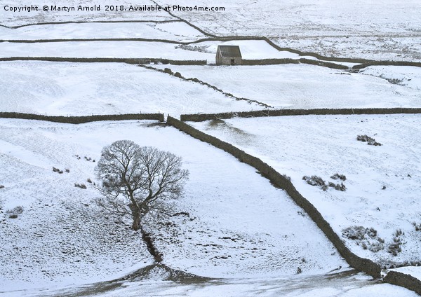 Weardale Winter Landscape Picture Board by Martyn Arnold