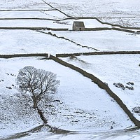 Buy canvas prints of Weardale Winter Landscape by Martyn Arnold