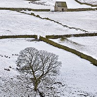 Buy canvas prints of Weardale Winter Moorland Landscape by Martyn Arnold