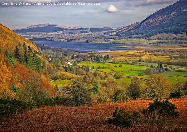 Bassenthwaite Lake from Whinlatter Forest Picture Board by Martyn Arnold