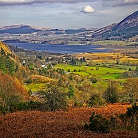 Buy canvas prints of Bassenthwaite Lake from Whinlatter Forest by Martyn Arnold