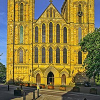 Buy canvas prints of Ripon Cathedral west front in Evening Light by Martyn Arnold