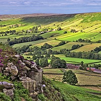 Buy canvas prints of Danby Dale, North York Moors by Martyn Arnold