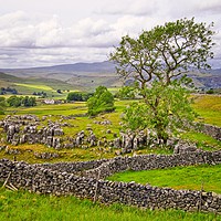 Buy canvas prints of Yorkshire Dales countryside in Malhamdale by Martyn Arnold