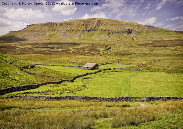 Pen-y-Ghent Yorkshire dales Picture Board by Martyn Arnold