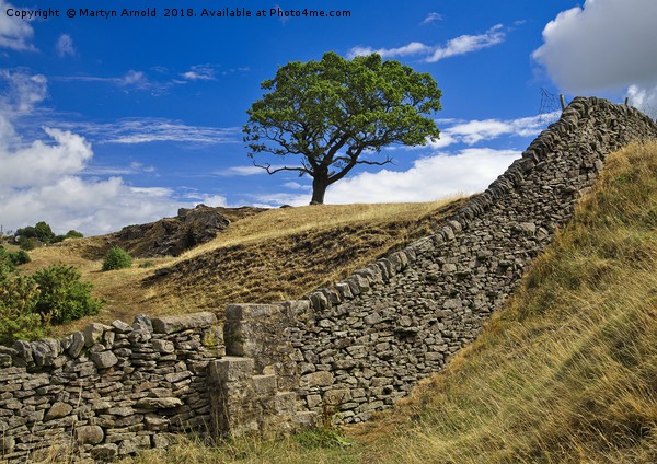 Lone Moorland Tree Picture Board by Martyn Arnold