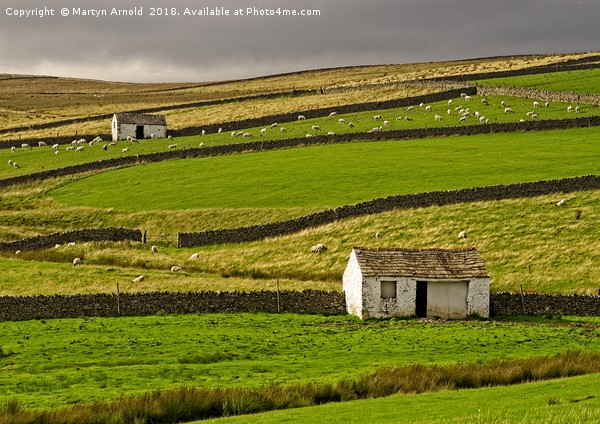 Stone Barns in the Teesdale Landscape Picture Board by Martyn Arnold