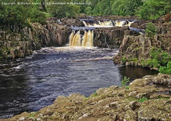 Low Force Waterfall, Bowlees, Teesdale Picture Board by Martyn Arnold